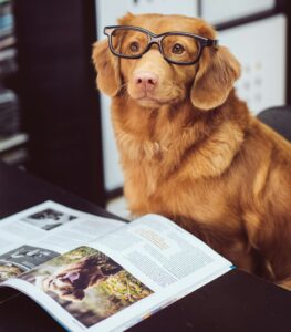 Propósito profissional