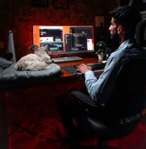 Desenvolvedor Júnior Microsoft Power Platform